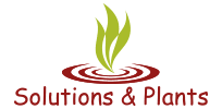 solutions plants
